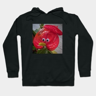 Googly Eyes #215 Hoodie